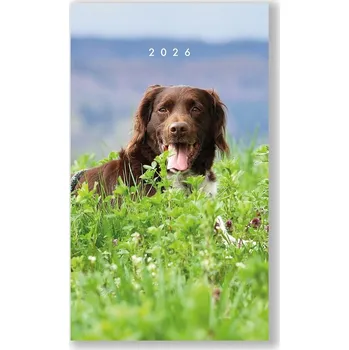 Diář Vikpap - týdenní diář pes 2026, 10 × 17 cm