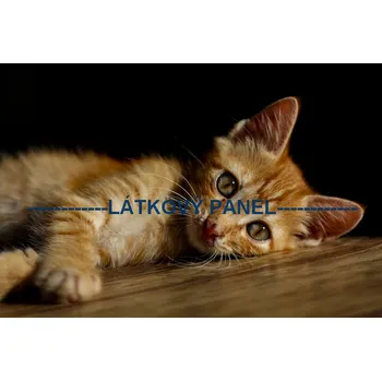 Látkový panel - Kočka - KČ-17 Velikost: 20x13cm, Materiál: Bavlna