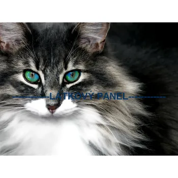 Látkový panel - Kočka - KČ-10 Velikost: 10x7cm, Materiál: Úplet