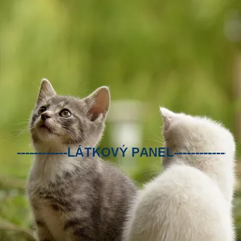 Látkový panel - Kočka - KČ-16 Velikost: 30x30cm, Materiál: Bavlna
