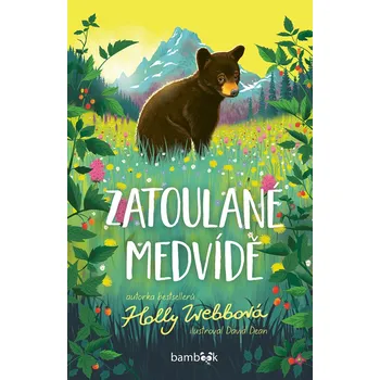 Pohádka Zatoulané medvídě