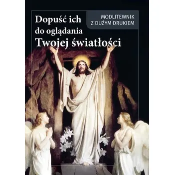 Dopuść ich do oglądania Twojej światłości - Andrzej Ochman