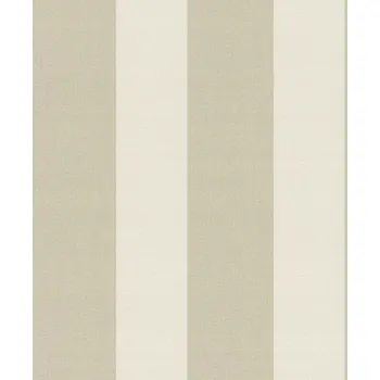 Tapeta KLASICKÁ TAPETA PRUHY VINYLOVÁ NA VLIESU