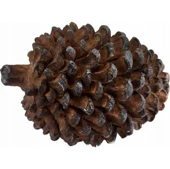 Obraz Ozdobná Šiška