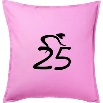 Polštář Cyklista slaví pětadvacítku (25) - Polštář 50x50 - 50x50 - Pouze potah ( Růžová )