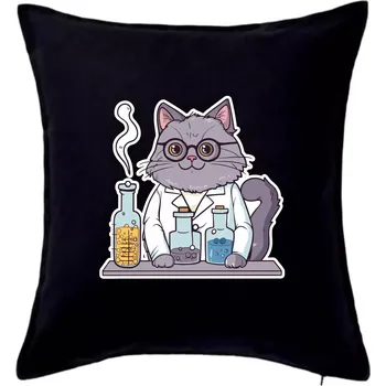 Polštář Kočka chemik - Polštář 50x50 - 50x50 - Pouze potah ( Černá )