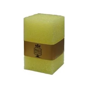 Pinnacle Safe Scrub Bug & Tar Pad - houbička pro šetrné odstranění hmyzu z laku