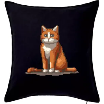 Polštář Kočka rezavá - Polštář 50x50 - 50x50 - Pouze potah ( Černá )