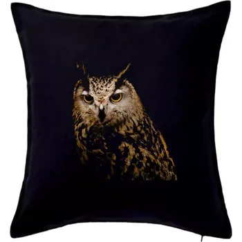 Polštář Sova fotka - Polštář 50x50 - 50x50 - Pouze potah ( Černá )