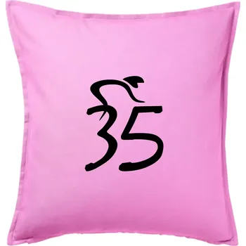 Polštář Cyklista slaví pětatřicítku (35) - Polštář 50x50 - 50x50 - Pouze potah ( Růžová )