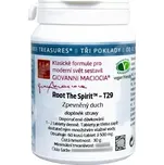 Giovanni Maciocia T29 Zpevněný duch 60…