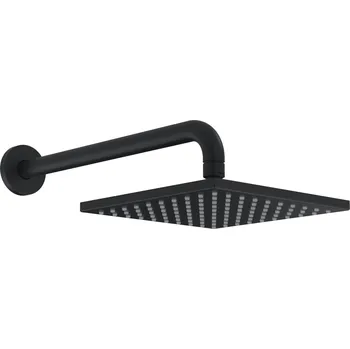 Sprchová hlavice Hlavová sprcha Hansa Viva na stěnu včetně sprchového ramena černá matná 4426024033