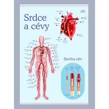 Plakát Srdce a cévy 1000 × 1400 mm - výukový plakát
