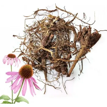Aniland Echinacea kořen (celý) - 50 g