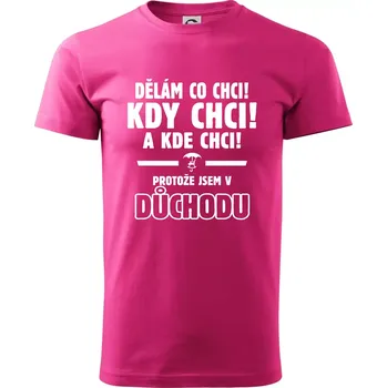 Dělám co chci, kdy chci důchod - Klasické pánské triko vyšší gramáže - XS ( Purpurová )