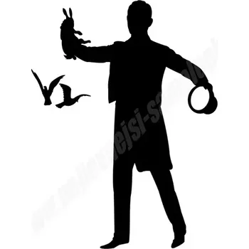 Samolepicí dekorace na vozidlo Samolepka Kouzelník