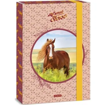 desky na sešit Desky na sešity A4 Ars Una - My Sweet Horse