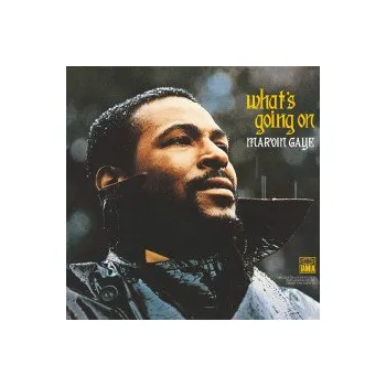 Zahraniční hudba What's Going On / Vinyl / 180g - Gaye Marvin [LP]