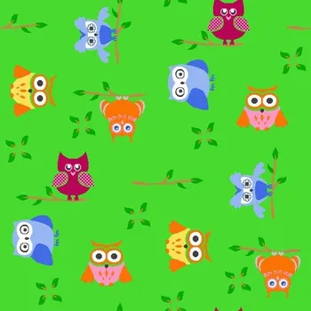 Koberec Dětský koberec Sovička zelená 80 x 120 cm