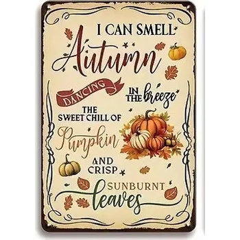 Plechová cedule BAF Nástěnná kovová cedule Dýně - vůně podzimu 30 x 20 cm