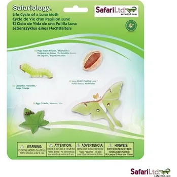 Životní cyklus - Můra - blistr - Safari Ltd.