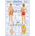 Obrázková němčina - Lidské tělo /tabulka A5/