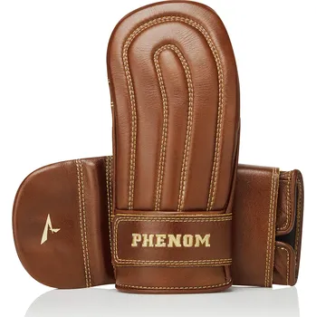 Boxerské rukavice Pytlové rukavice Phenom BM-15 - hnědé
