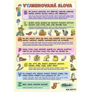 Český jazyk Vyjmenovaná slova A4 (30x21 cm)