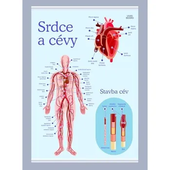 Plakát Srdce a cévy 420 × 594 mm - výukový plakát