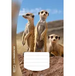 SEVT Sešit Premium 520, A5 20 l. nelinkovaný