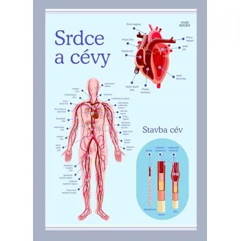 Plakát Srdce a cévy 594 × 841 mm - výukový plakát