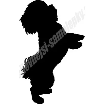 samolepka Samolepka Bišonek