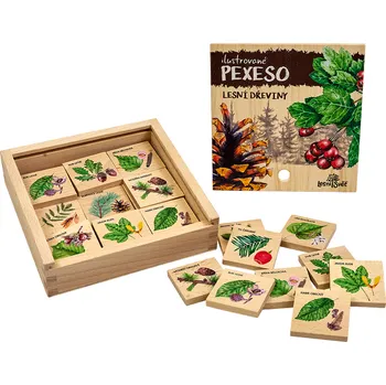 Pexeso Dřevěné pexeso - lesní dřeviny