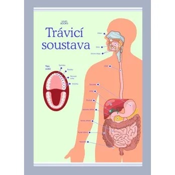 Plakát Trávicí soustava 1000 × 1400 mm - výukový plakát