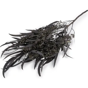 umělá květina Stabilizovaný eukalyptus svazek, barva 5 černá