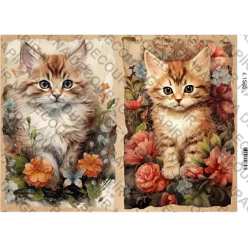 Umělecký papír Rýžový a soft papír na decoupage - Kočička a květiny - KB01585 Materiál: Soft, Rozměr: A4