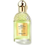 659377-AQUA ALLEGORIA FORTE NEROLIA.V EDP 75ML - Aqua Allegoria Forte Nerolia Vetiver - Eau de Parfum - GUERLAIN