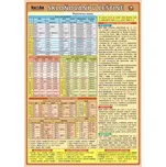 Skloňování v češtině