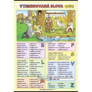 Český jazyk Vyjmenovaná slova - rozlišuj A4 (30x21 cm)