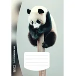 SEVT Sešit Premium 544, A5 40 l. linkovaný 8 mm s okrajem