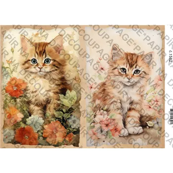 Umělecký papír Rýžový a soft papír na decoupage - Kočička a květiny - KB01582 Materiál: Rýžový papír, Rozměr: A4