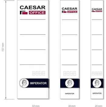 CAESAR OFFICE Štítek na pořadač zasouvací 50 × 157 mm, 10 ks