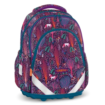 Školní batoh Školní batoh Ars Una - Charme