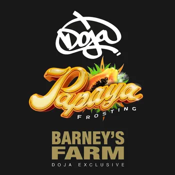 Semeno Barney´s Farm - Papaya Frosting 3 ks