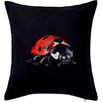 Polštář Beruška za ze předu černá fotka - Polštář 50x50 - 50x50 - Pouze potah ( Černá )