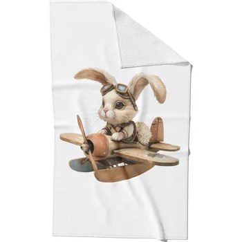 Rychleschnoucí ručník 30x50 zajíček letec