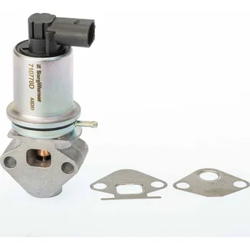 Ventil palivového systému AGR-Ventil BORGWARNER 710778D