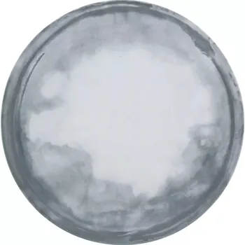 Talíř Mělký talíř Bauscher Smart průměr 28,1 cm, dekor Coast