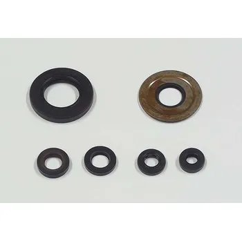 Těsnění motoru TOURMAX sada gufer motoru YAMAHA VX 1000 SE 81, XV 1000 TR1 81-84 vyrobeno v Japonsku (TOURMAX sada gufer motoru YAMAHA VX 1000 SE 81, XV 1000 TR1 81-84 vyrobeno v Japonsku)