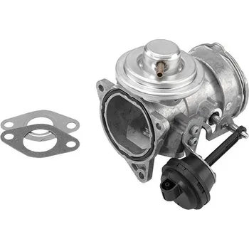Ventil palivového systému AGR-Ventil BORGWARNER 7327D/1
